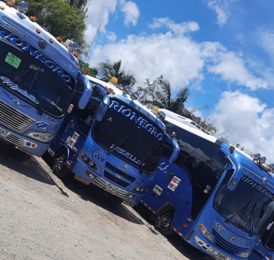 Transportes Chachafruto: tradición, responsabilidad y pasión por el servicio